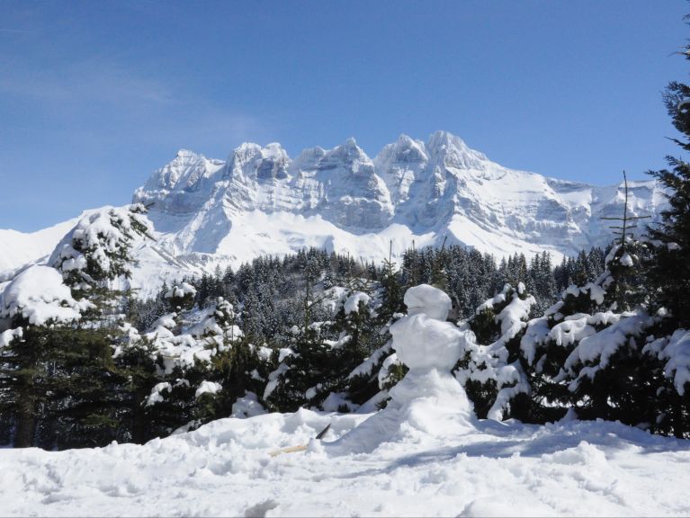 Chalet Le Cerf