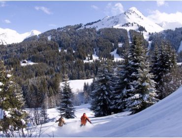 Skigebied Les Portes du Soleil-3
