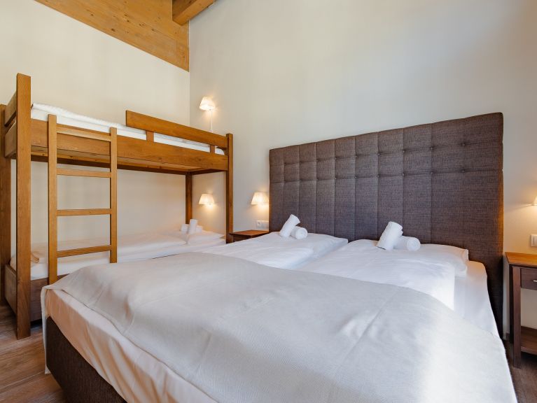 Chalet-appartement Wildkogelresorts Penthouse Type IIIb