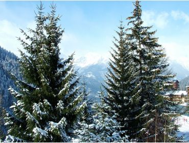 Skidorp Charmant wintersportdorpje met veel faciliteiten nabij Italië-7