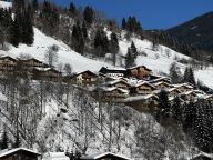 Chalet-appartement AlpenParks Rehrenberg Classic-22