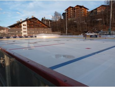 Skidorp Sfeervol wintersportdorp in het hart van Les Quatre Vallées-13