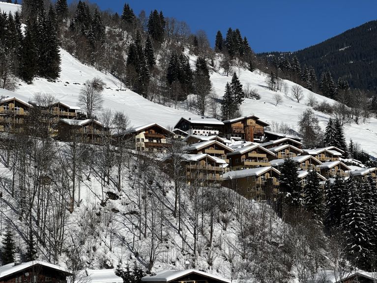 Chalet-appartement AlpenParks Rehrenberg Alpine