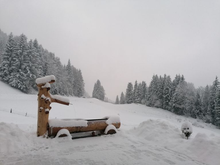 Chalet Winterreitgut