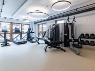 Chalet-appartement Das Neukirchen Type 3b-35