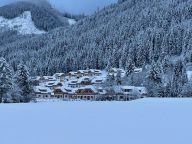 Chalet Riesneralm Hirschblick-35