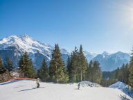 Chalet-appartement Les Alpages de Champagny Appartement C22-27
