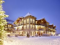 Chalet-appartement Wildkogelresorts Type IIb-28
