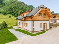 Chalet Riesneralm Im grünen Herzen-37