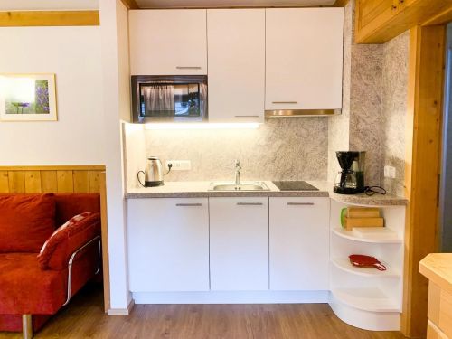Chalet-appartement Merlenhütte Top EG - 2-4 personen