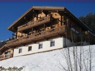 Chalet Schöneben Bauernhaus Oostzijde met sauna-25