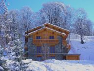 Chalet Paradis de St. Martin met sauna-14