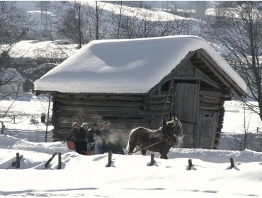 Skidorp Rustiek dorp op een steenworp afstand van Kaprun en Zell am See-7