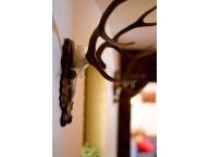 Chalet Kraxner inclusief catering-15
