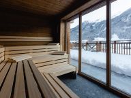 Chalet-appartement Das Neukirchen Type 4a-3