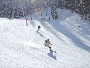 Skidorp Kindvriendelijk wintersportdorp met veel faciliteiten-6