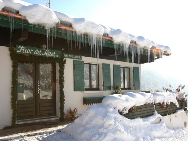 Chalet-appartement Fleur des Alpes Ancolie