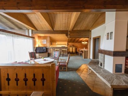 Chalet-appartement Eckart Dachstein-2