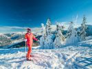 beste skigebieden oostenrijk