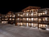 Chalet-appartement Das Neukirchen Penthouse Type 3a-69