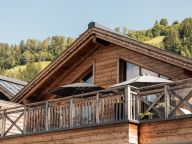 Chalet-appartement Das Neukirchen Type 2b-8