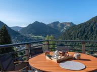Chalet-appartement Le Theleme-3