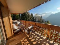 Chalet-appartement L'Alchimie-12