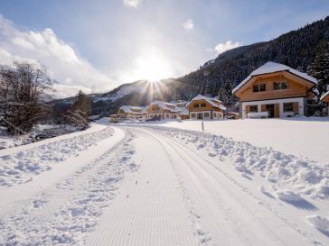 Riesneralm