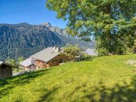 Chalet Les Oisillons met buitensauna-31