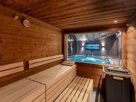 Chalet-appartement Das Neukirchen Type 3b-39