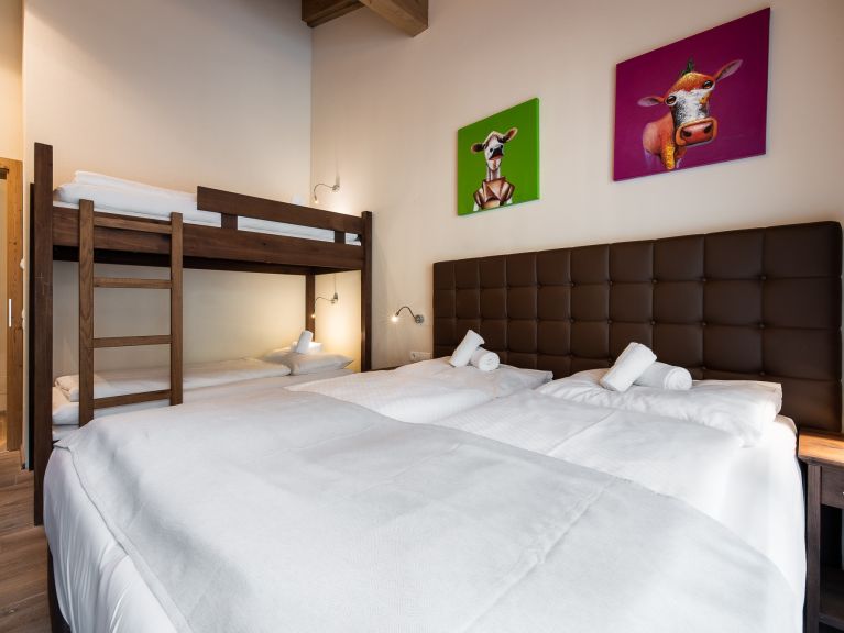 Chalet-appartement Wildkogelresorts Penthouse Type IIb