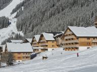 Chalet-appartement Le Grand Lodge-18