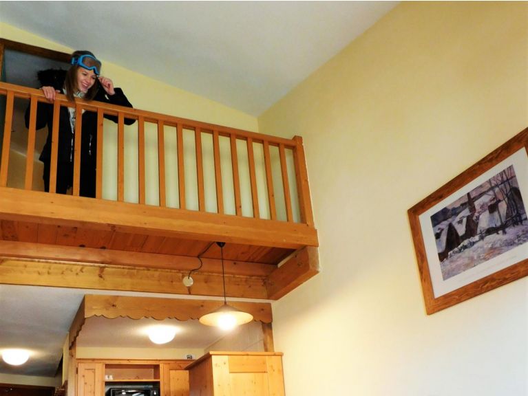 Chalet-appartement Le Cheval Blanc Classique met mezzanine
