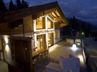 Chalet Edelweissalm max. 10 volw. en 2 kinderen-29