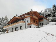 Chalet-appartement Alpenchalet am Wildkogel Gehele chalet met wellnessruimte-6