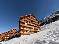 Chalet-appartement Des Neiges-20