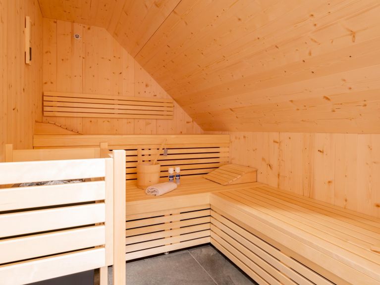 Chalet Mountain Chalet Alpinchique