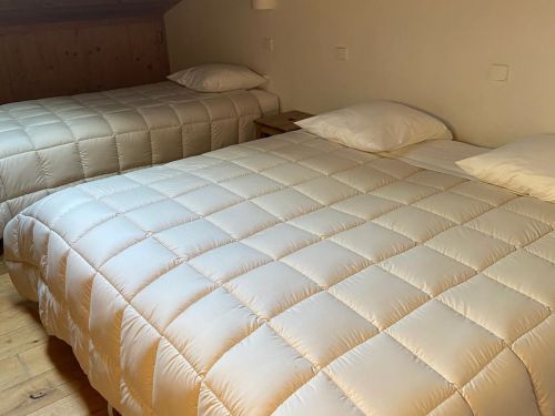 Chalet-appartement Fleur des Alpes Gentiane - 7-9 personen