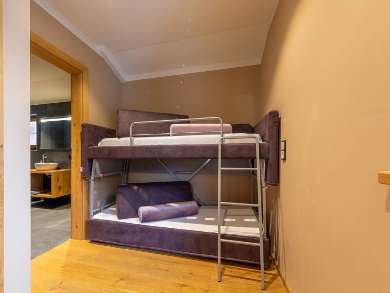 Chalet-appartement Alps Zillertal Chalet Zillertal