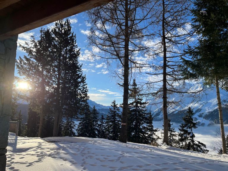 Chalet-appartement Le Diamant des Cimes