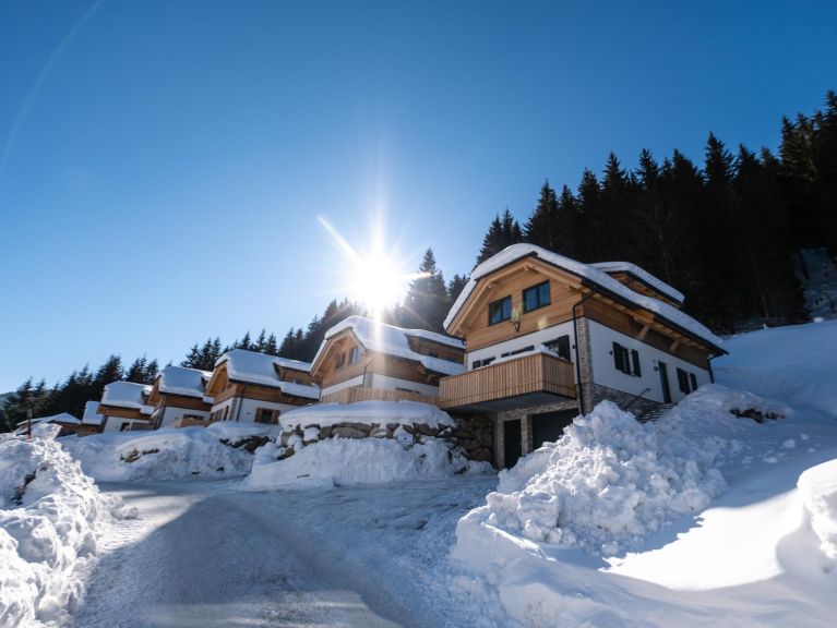 Chalet Riesneralm Edelweiss Lodge