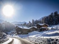 Chalet du Cocoon Mont-Blanc met buiten-whirlpool-26