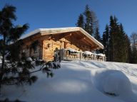 Chalet Almwelt Austria Jagahüttl-8