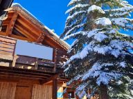 Chalet In de Wolken inclusief catering met sauna en whirlpool-14