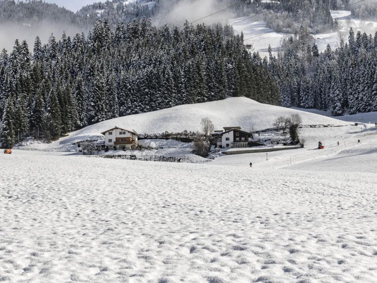 Chalet Linden Platzl