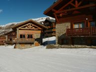 Chalet Le Hameau des Marmottes aan de piste-26