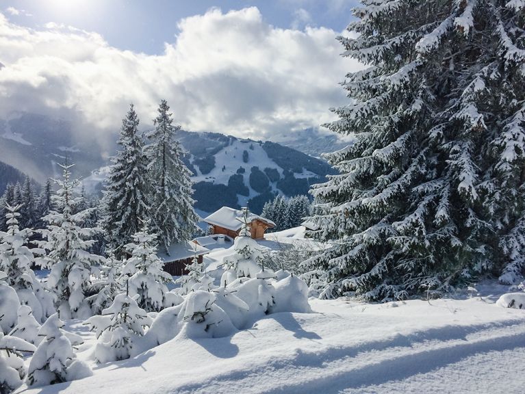 Chalet Les Gernes