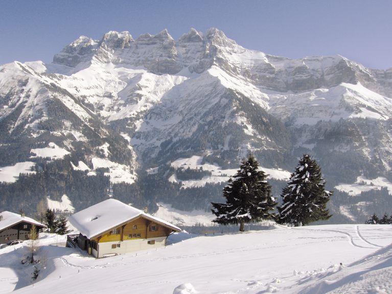 Chalet Les Flats