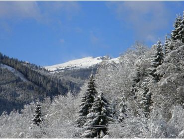 Skidorp Klein bergdorpje nabij Saalbach-5