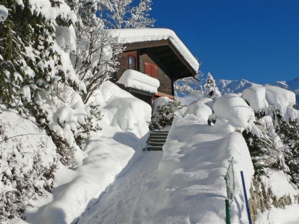 Chalet Château Lapin